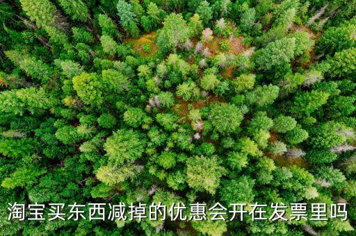 網(wǎng)店為什么貨票不同行，為什么網(wǎng)店賣的東西不能和發(fā)票一同送來