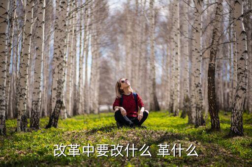 你認(rèn)為我國(guó)改革的重心應(yīng)是什么改，我國(guó)改革的任務(wù)決定了改革應(yīng)是 A 經(jīng)濟(jì)體制的改革 B 政治體制的改革