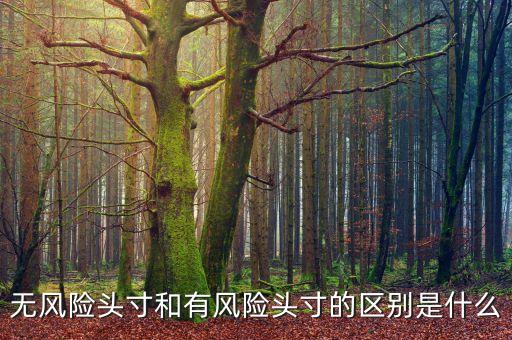 市場風(fēng)險頭寸是什么，什么是可抵消市場風(fēng)險頭寸