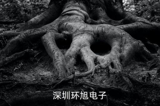 環(huán)旭電子經(jīng)營(yíng)什么，上海環(huán)旭電子有限公司在什么地方