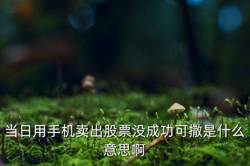 當(dāng)日用手機(jī)賣出股票沒(méi)成功可撒是什么意思啊