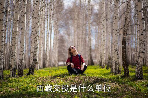 西藏成投是做什么的，西藏交投是什么單位