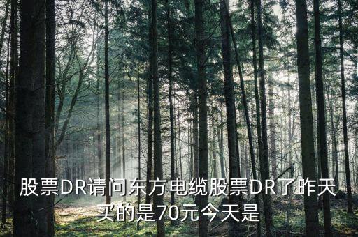 603606東方電纜屬于什么股票，丹 東 浪 頭 機(jī) 場(chǎng) 訂 票 熱 線 電 話 是 多 少