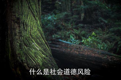 什么是社會(huì)風(fēng)險(xiǎn)，什么是社會(huì)道德風(fēng)險(xiǎn)
