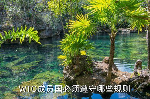 wto規(guī)則是什么，WTO的基本原則