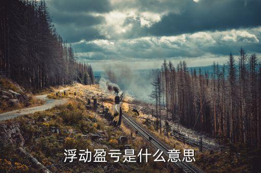 浮動盈虧60是什么意思，浮動盈虧是什么意思