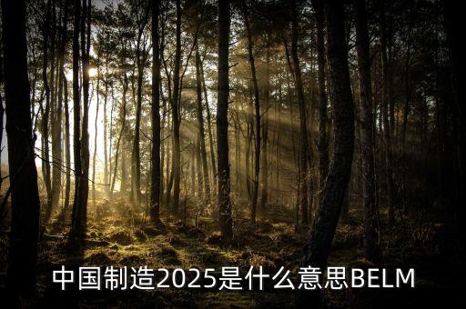 2025規(guī)劃是什么，中國制造2025是什么意思BELM