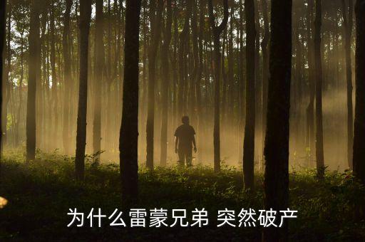 雷曼兄弟為什么破產(chǎn)，雷曼兄弟是因為什么而破產(chǎn)的