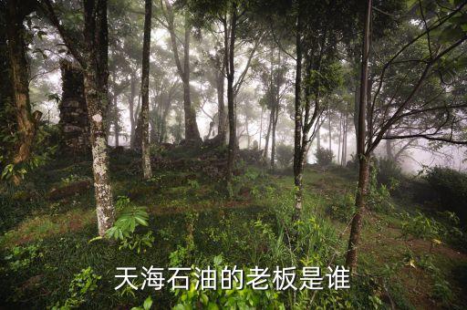 天海收購英邁什么時(shí)間，信用卡能不能申請延遲2天?？?/></a></span><span id=
