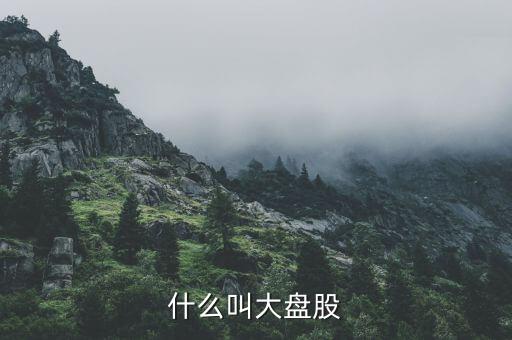 大盤股是什么意思，什么是大盤股