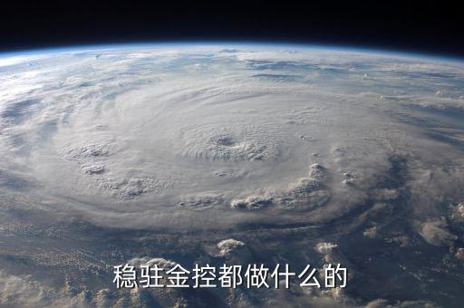 金控公司是干什么的，金控集團(tuán)是干什么的