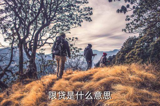 買房限貸是什么意思，限貸是什么意思