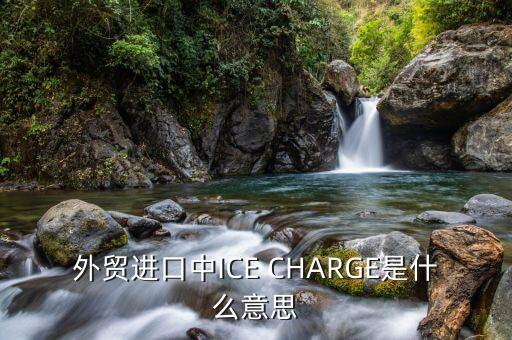 ice布油是什么，外貿(mào)進(jìn)口中ICE CHARGE是什么意思