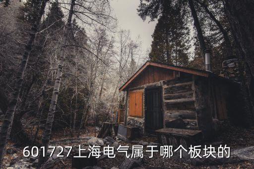 上海電氣什么行業(yè)，上海置信電氣股份有限公司是屬于什么行業(yè)