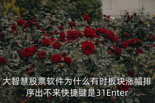 板塊排不按什么鍵，大智慧股票軟件為什么有時(shí)板塊漲幅排序出不來快捷鍵是31Enter