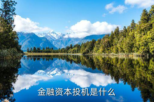 什么是金融投機(jī)，金融資本投機(jī)是什么