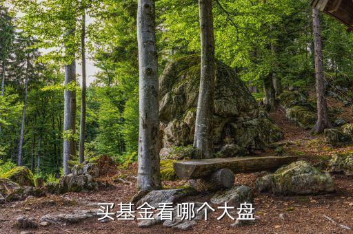 基金看什么大盤走勢(shì)，買基金看哪個(gè)大盤