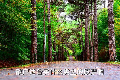 散戶適合買(mǎi)什么類型的股票啊