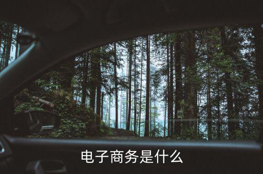 什么是電子商務經(jīng)濟體，電子商務運作本質是什么求解答