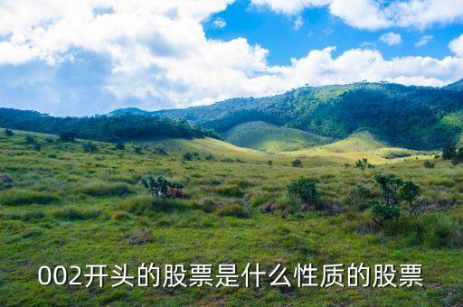 002打頭的股票代表什么，股票002開頭的是什么意思
