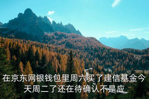002378建信什么時候確認(rèn)份額，在京東網(wǎng)銀錢包里周六買了建信基金今天周二了還在待確認(rèn)不是應(yīng)