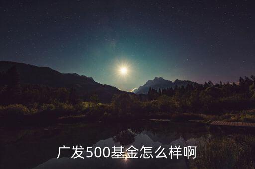 廣發(fā)500凈值為什么很低，廣發(fā)500基金怎么樣啊