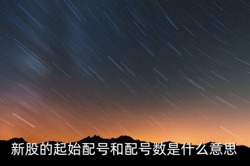 新股申購起始配號(hào)是什么意思，新股起始配號(hào)是什么意思配號(hào)21是什么意思
