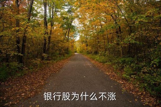 牛市為什么銀行股不漲，我來(lái)告訴你銀行股為什么不漲