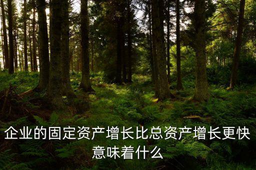 固定資產(chǎn)增長說明什么，流動(dòng)資產(chǎn)固定資產(chǎn)長期投資都增加從公司資產(chǎn)規(guī)模及變動(dòng)趨勢