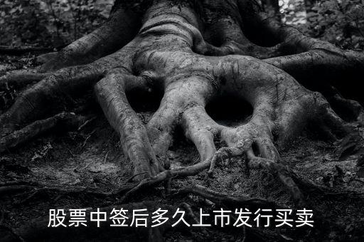 300512什么時(shí)候上市交易，股票中簽后多久上市發(fā)行買賣