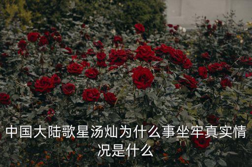 湯燦為什么要當(dāng)情婦，誰知道湯燦怎么了