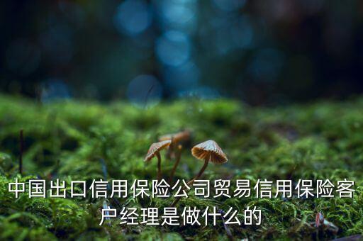 中信?？蛻?hù)經(jīng)理干什么，中國(guó)出口信用保險(xiǎn)公司貿(mào)易信用保險(xiǎn)客戶(hù)經(jīng)理是做什么的