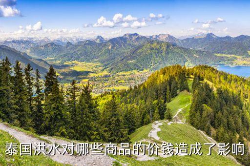 洪災(zāi)對(duì)什么價(jià)格有影響，洪災(zāi)對(duì)什么市場(chǎng)影響最大