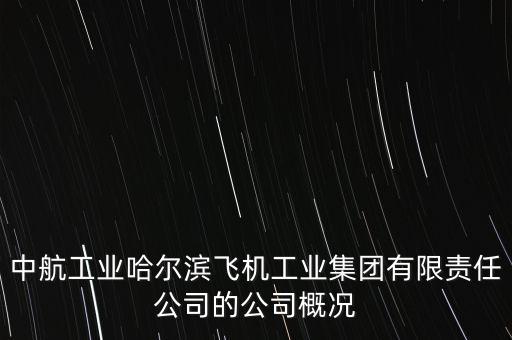 哈飛生產(chǎn)什么飛機(jī)，成飛 陜飛 哈飛 沈飛那個是中國最大的飛機(jī)制造企業(yè)