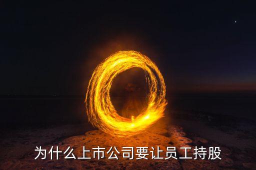 公司強迫員工入股的動機是什么，4個人的公司要求員工入股是什么目的