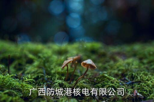 防城港核電站什么時(shí)候發(fā)電，請問防城港核電廠什么時(shí)候建成并投入使用