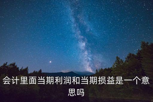 當(dāng)期利潤是指什么意思，當(dāng)期利潤當(dāng)期應(yīng)付利息等等中的當(dāng)期是什么含義
