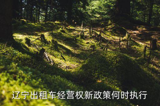 出租車新規(guī)什么時候出臺，全國有哪些地方放開出租車手續(xù)的管控了嗎