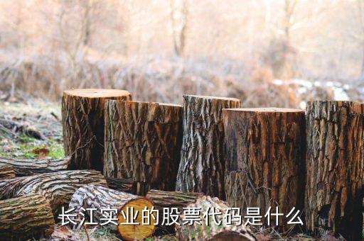 300513什么時(shí)候開(kāi)盤(pán)，長(zhǎng)江實(shí)業(yè)的股票代碼是什么