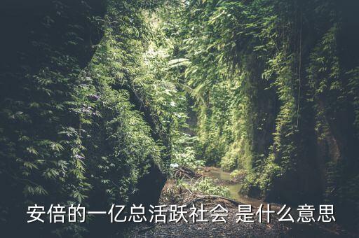 一億總活躍社會(huì)是什么， 安倍的一億總活躍社會(huì) 是什么意思