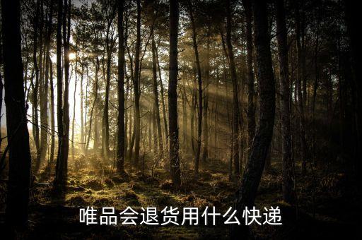 在唯品會說的退貨包裹是什么，唯品會退貨的送貨單快遞是啥啊