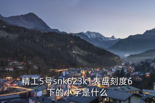 精工表中小表什么，精工手表4個(gè)小表盤(pán)是干甚么的