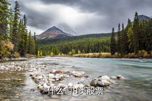 分級股b什么意思，分級基金b和b股一樣嗎