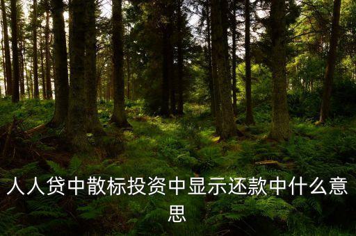 散標(biāo)是什么意思，散標(biāo)是什么