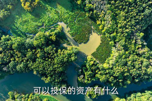 華宏科技購(gòu)買(mǎi)什么資產(chǎn)，可以投保的資產(chǎn)有什么