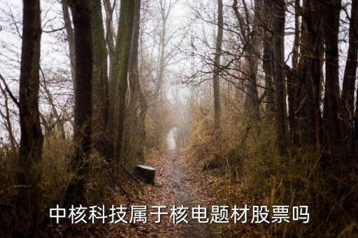 中核科技是什么板塊，中核科技屬于核電題材股票嗎