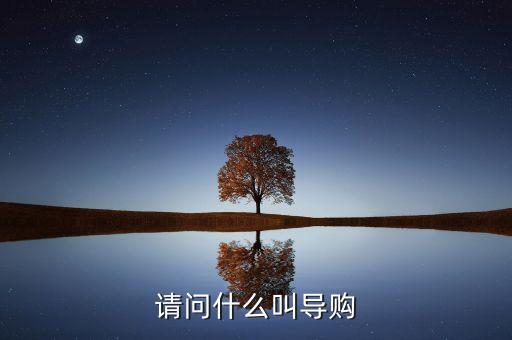 電商導(dǎo)購是什么，什么是導(dǎo)購