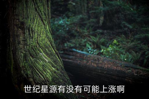 世紀(jì)星源股為什么不會(huì)漲，世紀(jì)星源有沒(méi)有可能上漲啊