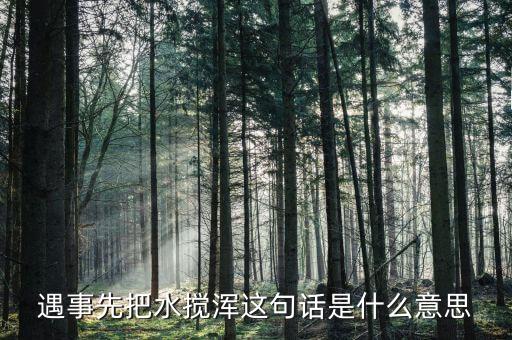 攪渾水什么意思，遇事先把水?dāng)嚋嗊@句話是什么意思
