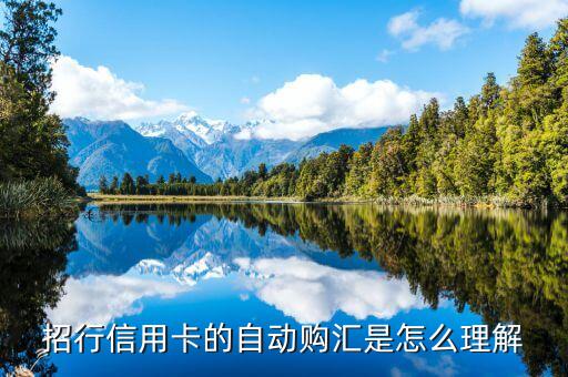 自動購匯轉(zhuǎn)出什么意思，什么是中國銀行信用卡的外幣自動購匯